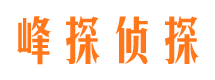 义县市调查公司